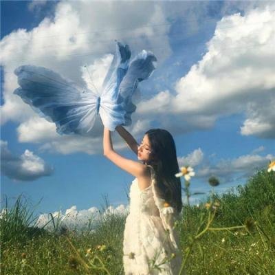 春光灿烂猪八戒2000