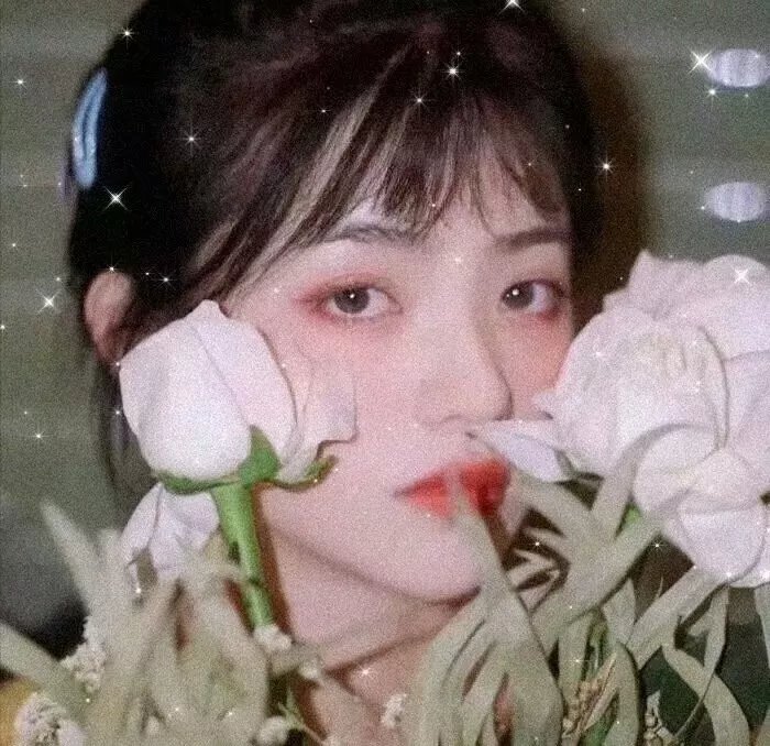春花凝雨露